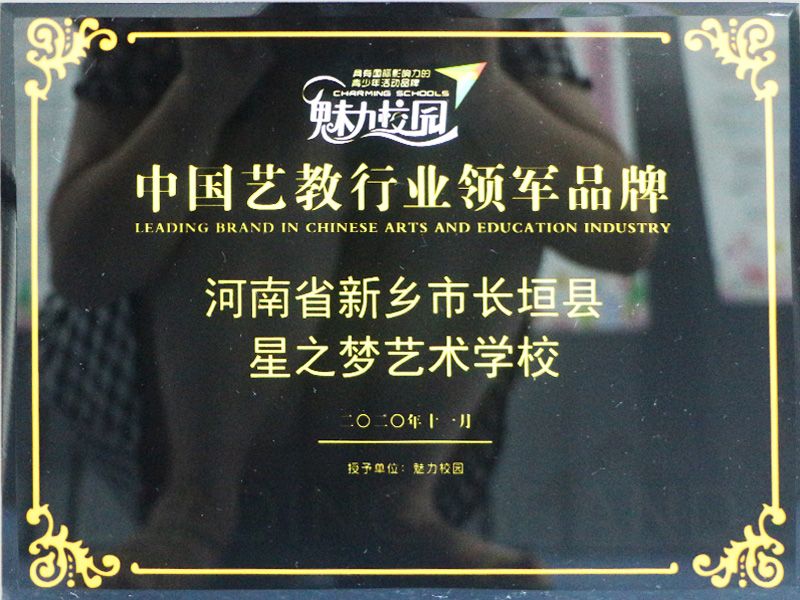 中国艺教行业