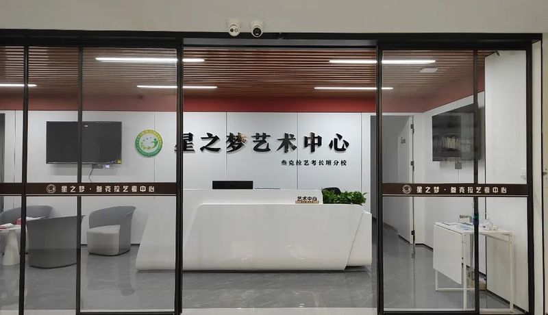 星之梦艺术教育集团简介